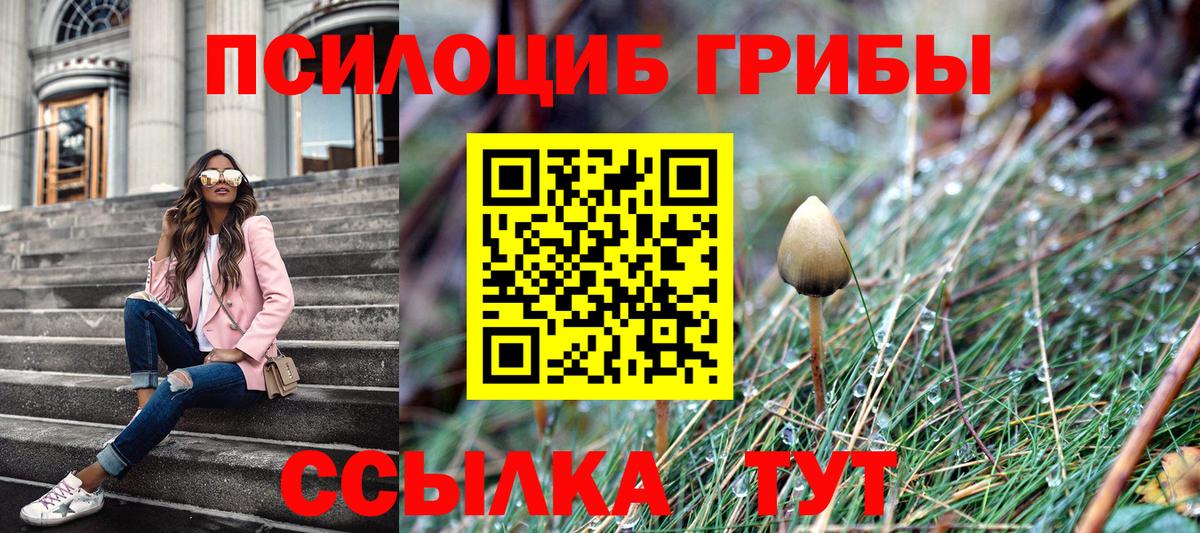 Псилоцибиновые грибы ЛСД  Вход с VPN  Псилоцибиновые грибы мухоморы  Новозыбков 